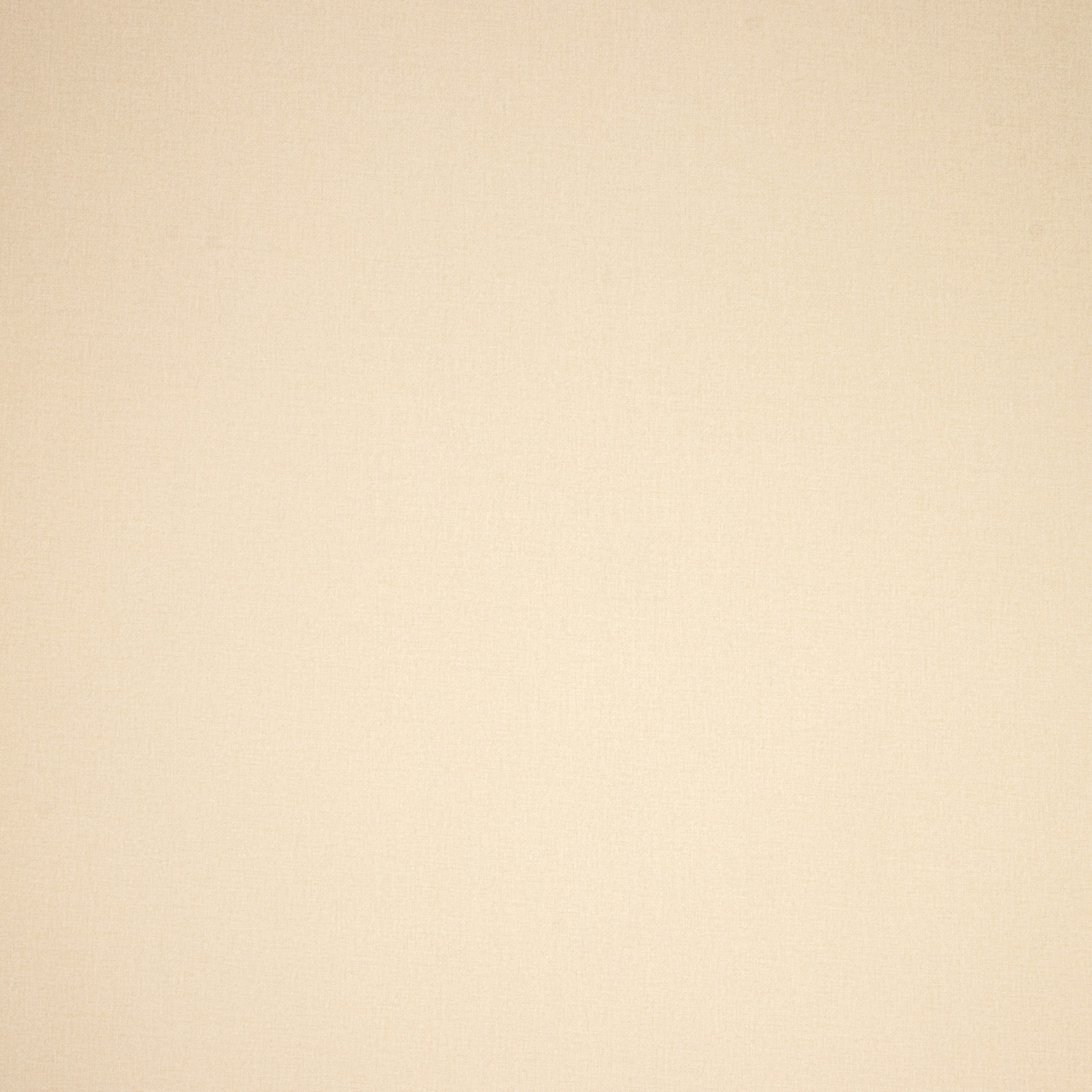 Обои флиз "Палитра" TREND Nature фон (беж.) TC72460-22  1,06*10м *6 Обои флиз "Палитра" TREND Nature фон (беж.) TC72460-22  1,06*10м *6