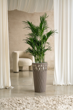 Кашпо пластм. "Winds" высокое 40л d верха 340мм h630мм со встав.18,7л Фран. платан IG652210105 *1/4