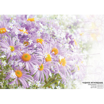 Фотообои Симфония К-135 "Чудное мгновение" 2800*1400 (8 лист)*1 (туба с клеем)