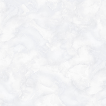 Обои  флиз "Антураж" TENERO фон (св.-сер.) AN9041-12  10*1,06м *6