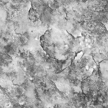 Обои "Фокс" винил на флизе гор/тисн 88519 Эверест *6 (Гомель)