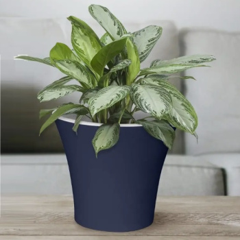 Кашпо пластм. "Сити" 6л d верха 250мм h225мм со вставкой Антрацит С25-12 *1/5