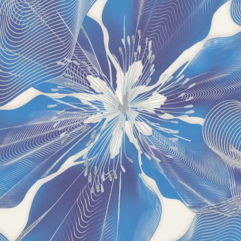 Обои флиз ED Euro Decor 7171-20 *6